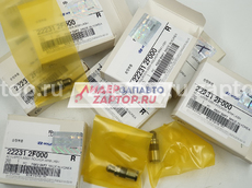 22231-2F000 Гидрокомпенсатор Sorento | Hyundai ix35